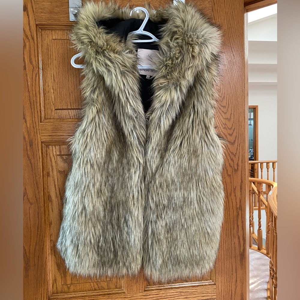 Aritzia - Sunday Best - Fur Vest